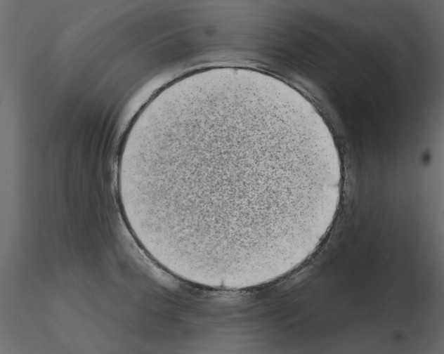 X0000115671188200912241413