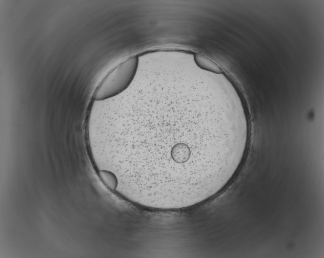 X0000115671189200912241413