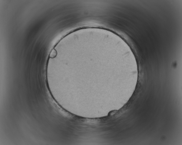 X0000115671191200912241413