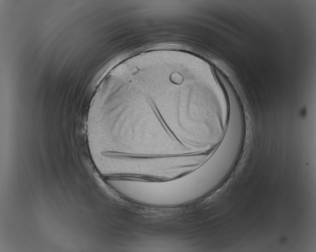 X0000115671193200912241413