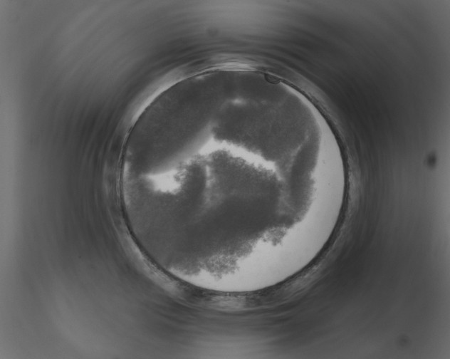 X0000115671194200912241413