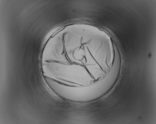 X0000115671196200912241413