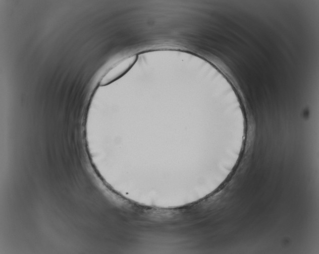 X0000115671197200912241413