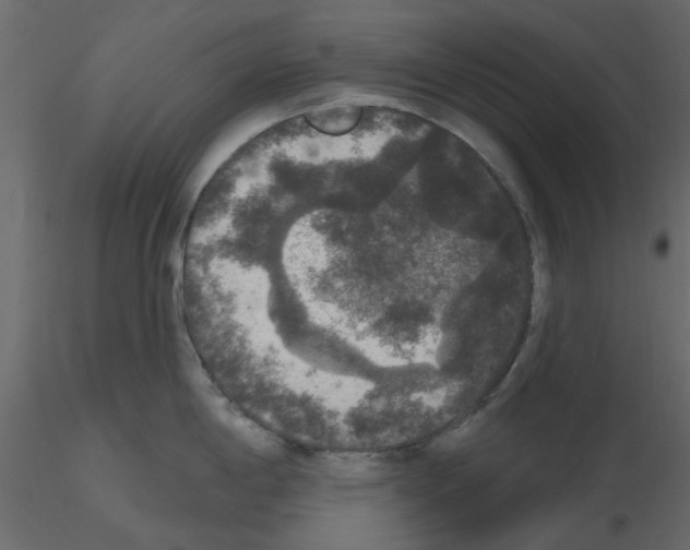 X0000115671198200912241413