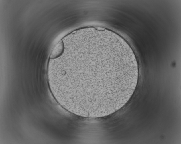 X0000115671199200912241413