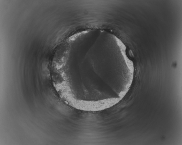 X0000115671202200912241412