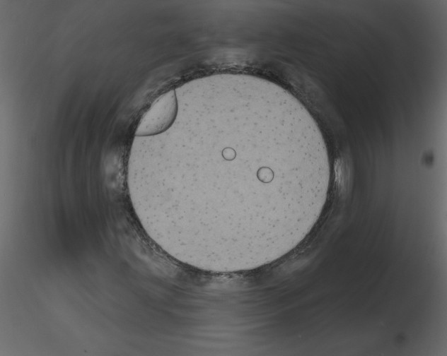 X0000115671203200912241412