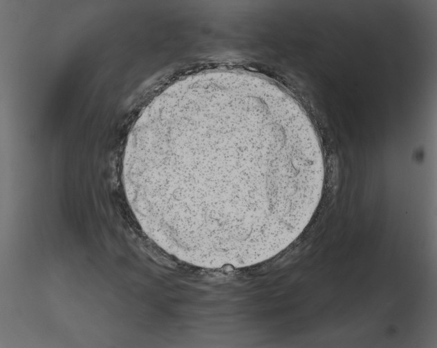 X0000115671205200912241412