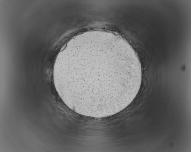 X0000115671206200912241412