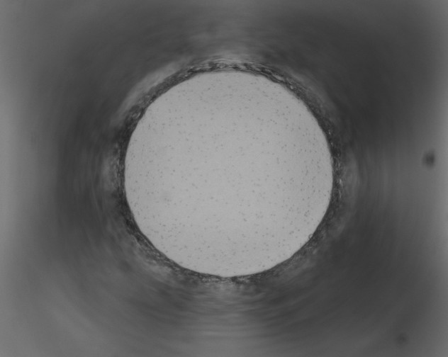 X0000115671207200912241412