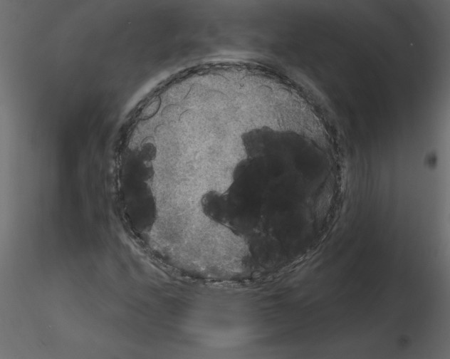 X0000115671208200912241412