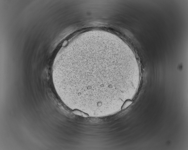 X0000115671209200912241412