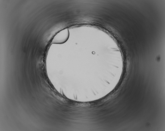 X0000115671210200912241412