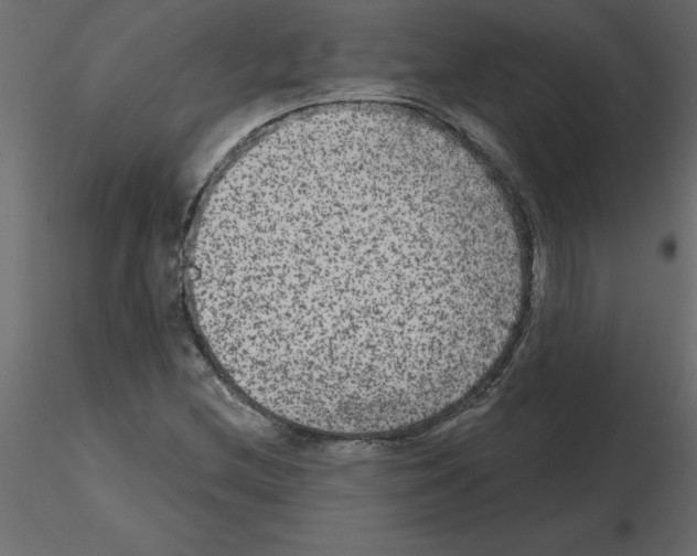 X0000115671212200912241412