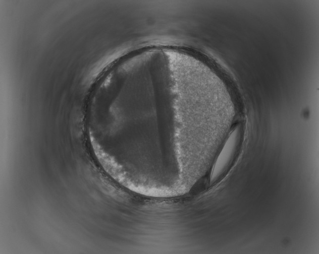 X0000115671213200912241412