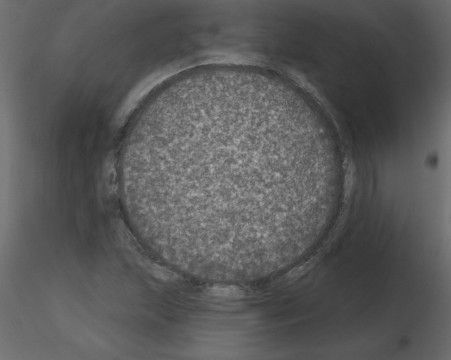 X0000115671215200912241413