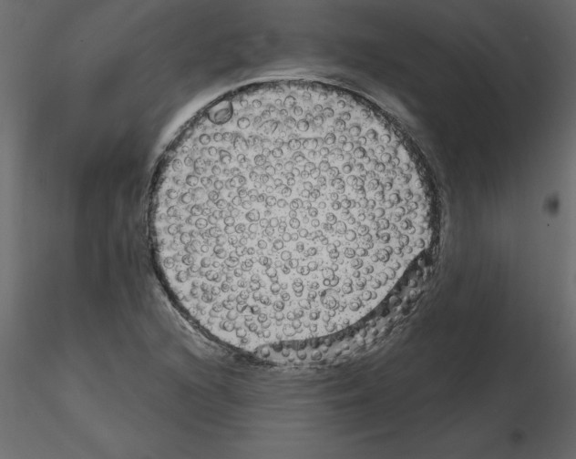 X0000115671216200912241413