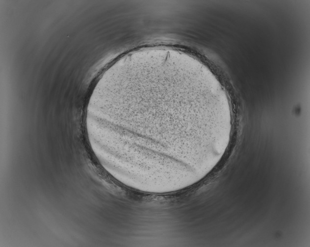 X0000115671217200912241413