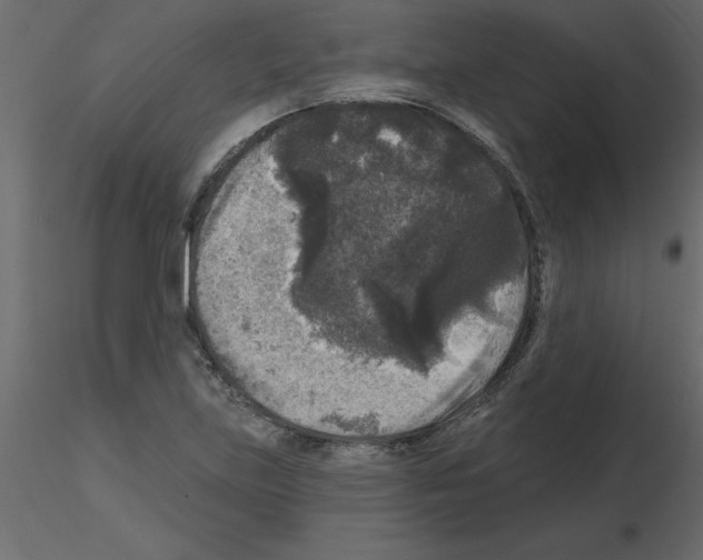 X0000115671219200912241413