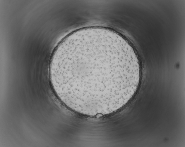 X0000115671220200912241413