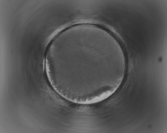 X0000115671221200912241413