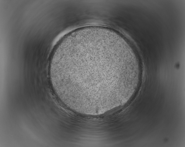 X0000115671222200912241413