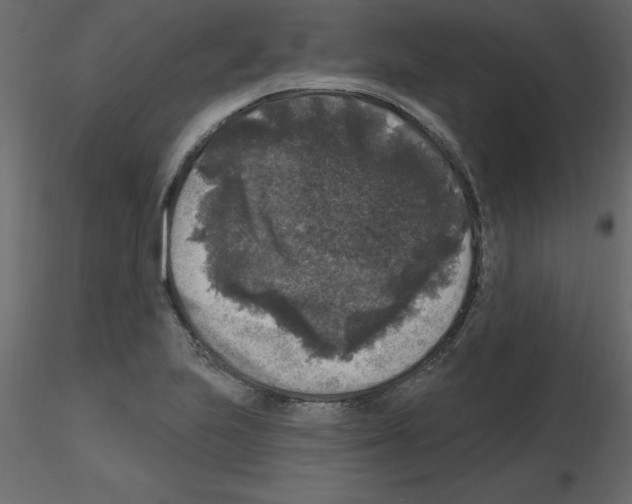 X0000115671223200912241413