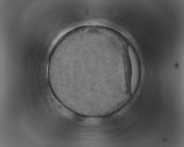 X0000115671224200912241413