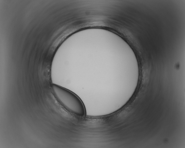 X0000115671225200912241413