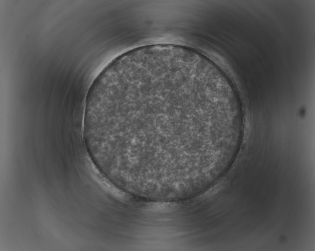 X0000115671228200912241413