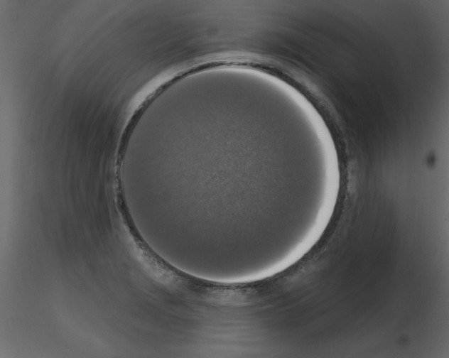 X0000115671229200912241413