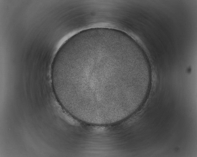 X0000115671230200912241413