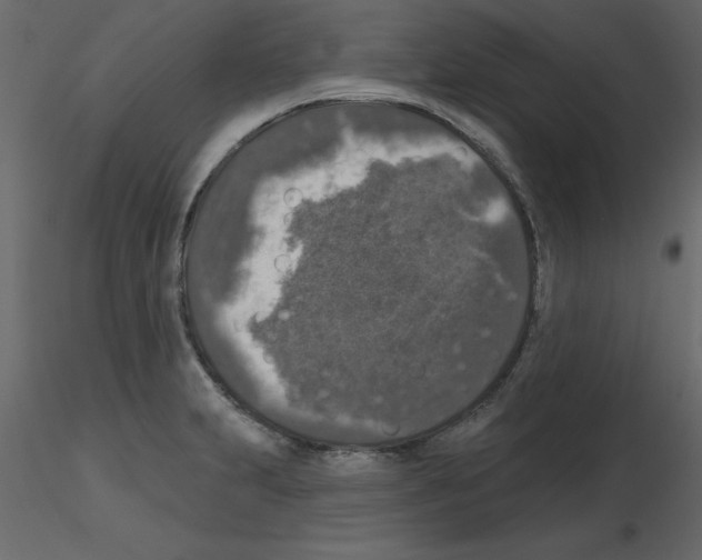 X0000115671231200912241413