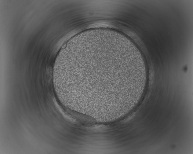 X0000115671233200912241413