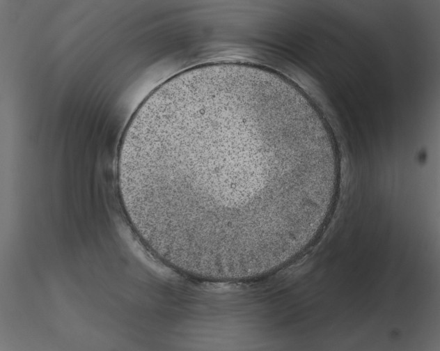 X0000115671234200912241413