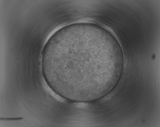 X0000115671235200912241413