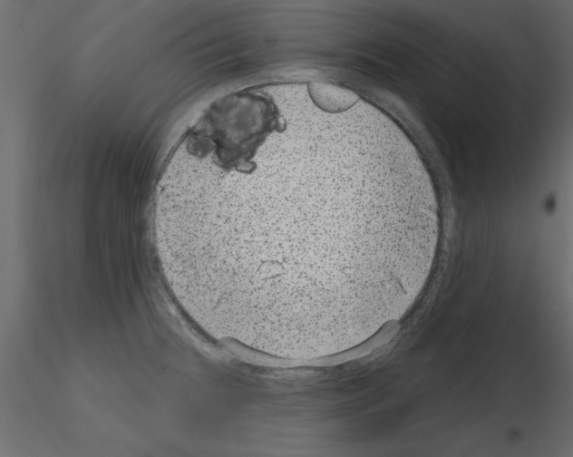 X0000115671236200912241413