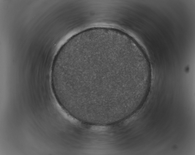 X0000115671237200912241413