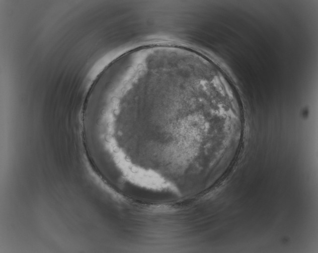 X0000115671239200912241413