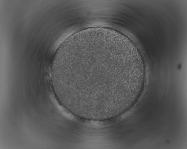 X0000115671241200912241413