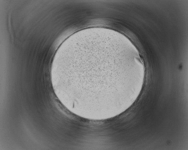 X0000115671242200912241413