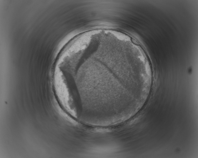 X0000115671243200912241413