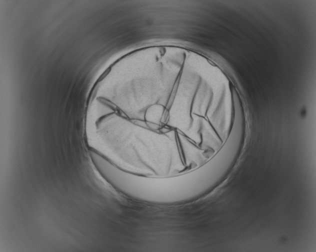 X0000115671244200912241413