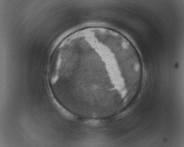 X0000115671245200912241413