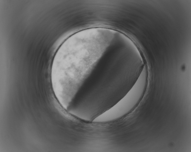 X0000115671246200912241413