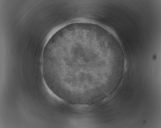 X0000115671247200912241413