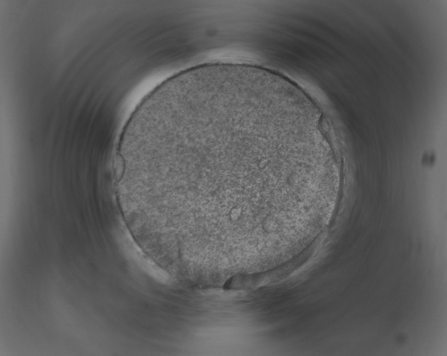 X0000115671248200912241413