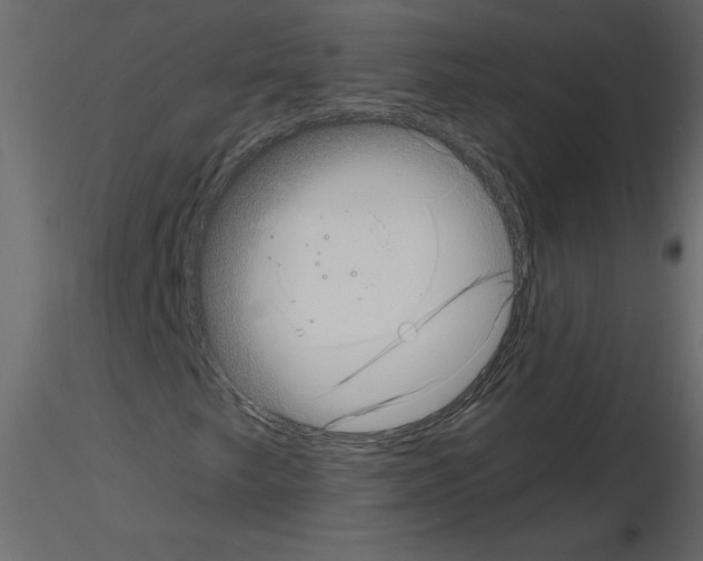 X0000115671249200912241412