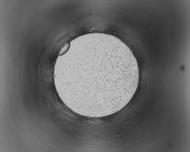 X0000115671250200912241412