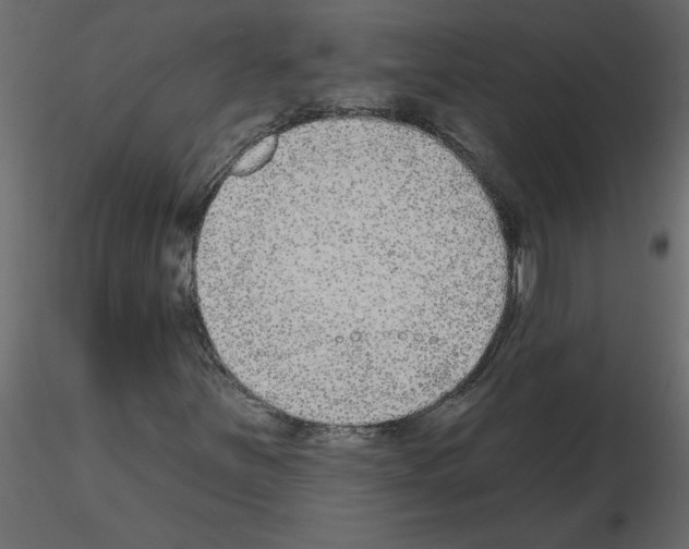 X0000115671251200912241412